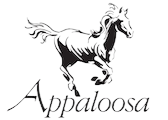 Appaloosa